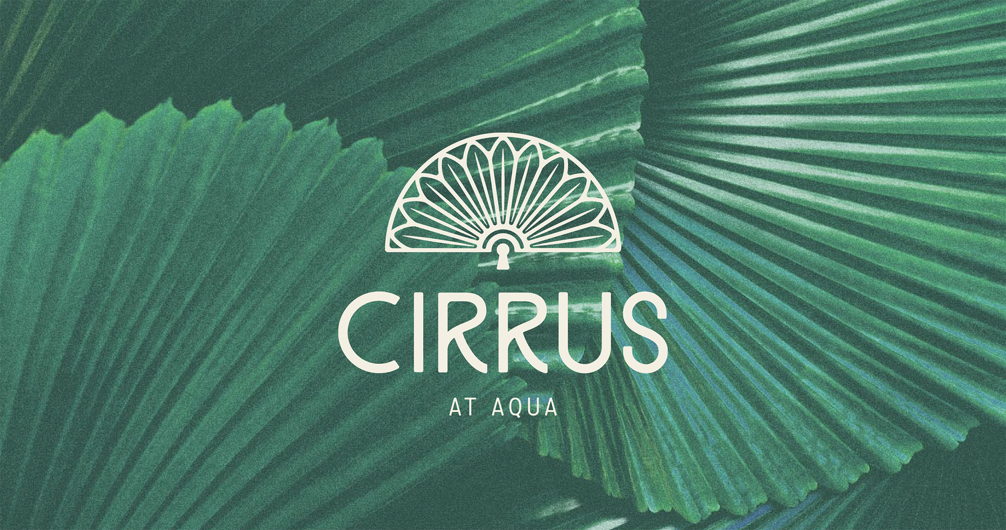 Cirrus